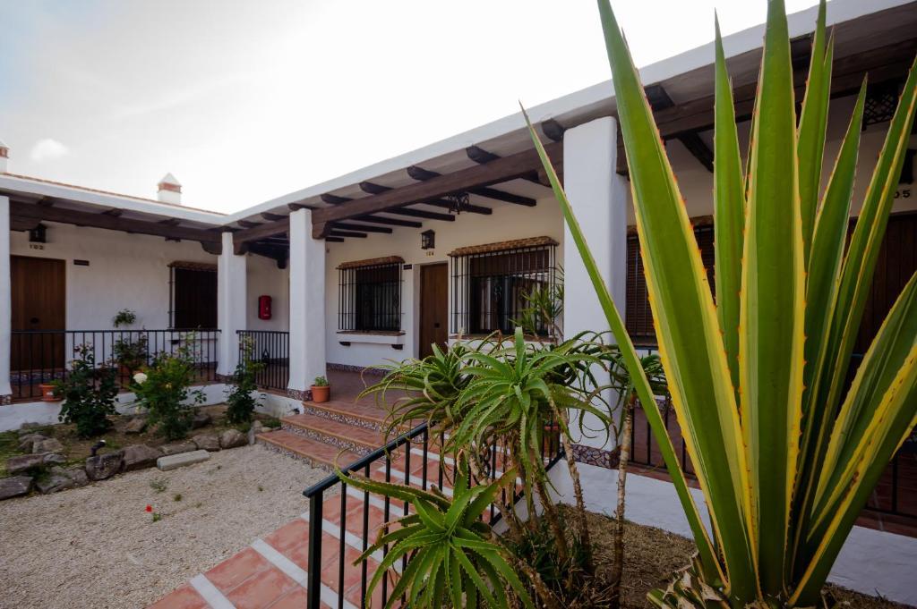 Apartmán Hacienda Puerto Conil Conil De La Frontera Exteriér fotografie